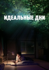 Постер к фильму Идеальные дни 2023
