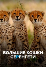 Постер к фильму Большие кошки Серенгети 2019