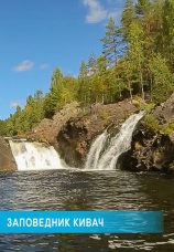 Постер к фильму Заповедник Кивач 2014