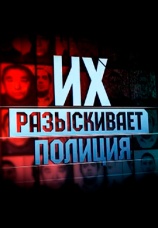 Постер к сериалу Их разыскивает полиция 2013