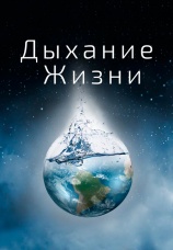 Постер к фильму Дыхание жизни 2014