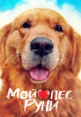 Постер к фильму Мой пес Руни 2023