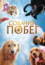 Постер к фильму Собачий побег 2023