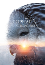 Постер к фильму Горная симфония 2021