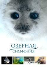 Постер к фильму Озерная симфония 2016