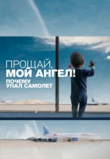 Постер к фильму Прощай, мой ангел! Почему упал самолет 2015