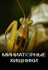 Постер к фильму Миниатюрные хищники 2019