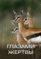 Постер к фильму Глазами жертвы 2019