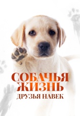 Постер к фильму Собачья жизнь: Друзья навек 2023