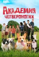 Постер к фильму Академия четвероногих 2024
