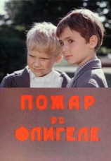 Постер к фильму Пожар во флигеле 1973