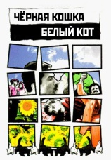 Постер к фильму Черная кошка, белый кот 1998