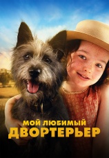 Постер к фильму Мой любимый двортерьер 2024