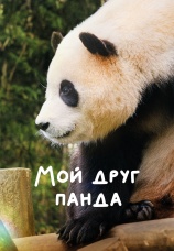 Постер к фильму Мой друг панда 2024