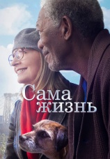 Постер к фильму Сама жизнь 2014
