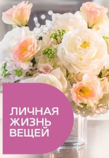 Постер к сериалу Личная жизнь вещей 2013