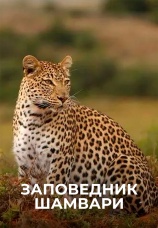 Постер к сериалу Заповедник Шамвари 2025