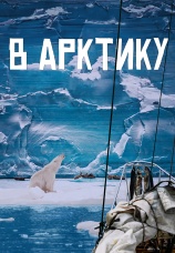 Постер к фильму В Арктику 2023
