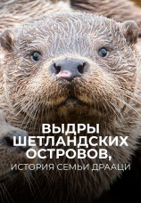 Постер к фильму Выдры Шетландских островов, история семьи Драаци 2019