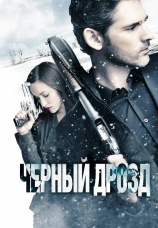 Постер к фильму Черный дрозд 2011