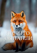Постер к фильму Лес и его обитатели 2021