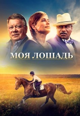 Постер к фильму Моя лошадь 2016