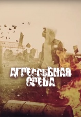 Постер к сериалу Агрессивная среда 2013