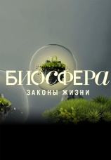Постер к сериалу Биосфера. Законы жизни 2018