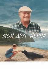 Постер к фильму Мой друг нерпа 2023