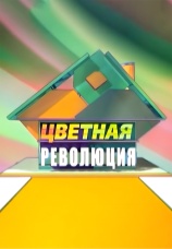 Постер к сериалу Цветная революция 2007