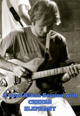 Постер к фильму Cheers Elephant. A Dead Kitten Session 2014