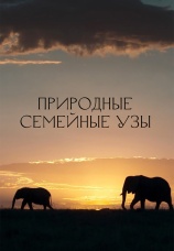 Постер к сериалу Природные семейные узы 2022