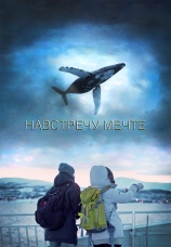 Постер к фильму Навстречу мечте 2020