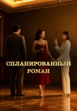 Постер к сериалу Спланированный роман 2025