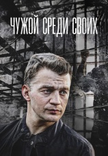 Постер к сериалу Чужой среди своих 2014