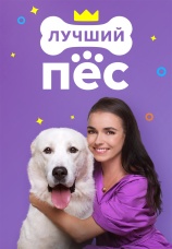 Постер к сериалу Лучший пес 2020