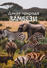 Постер к сериалу Дикая природа Замбези 2025