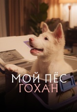 Постер к фильму Мой пес Гохан 2026