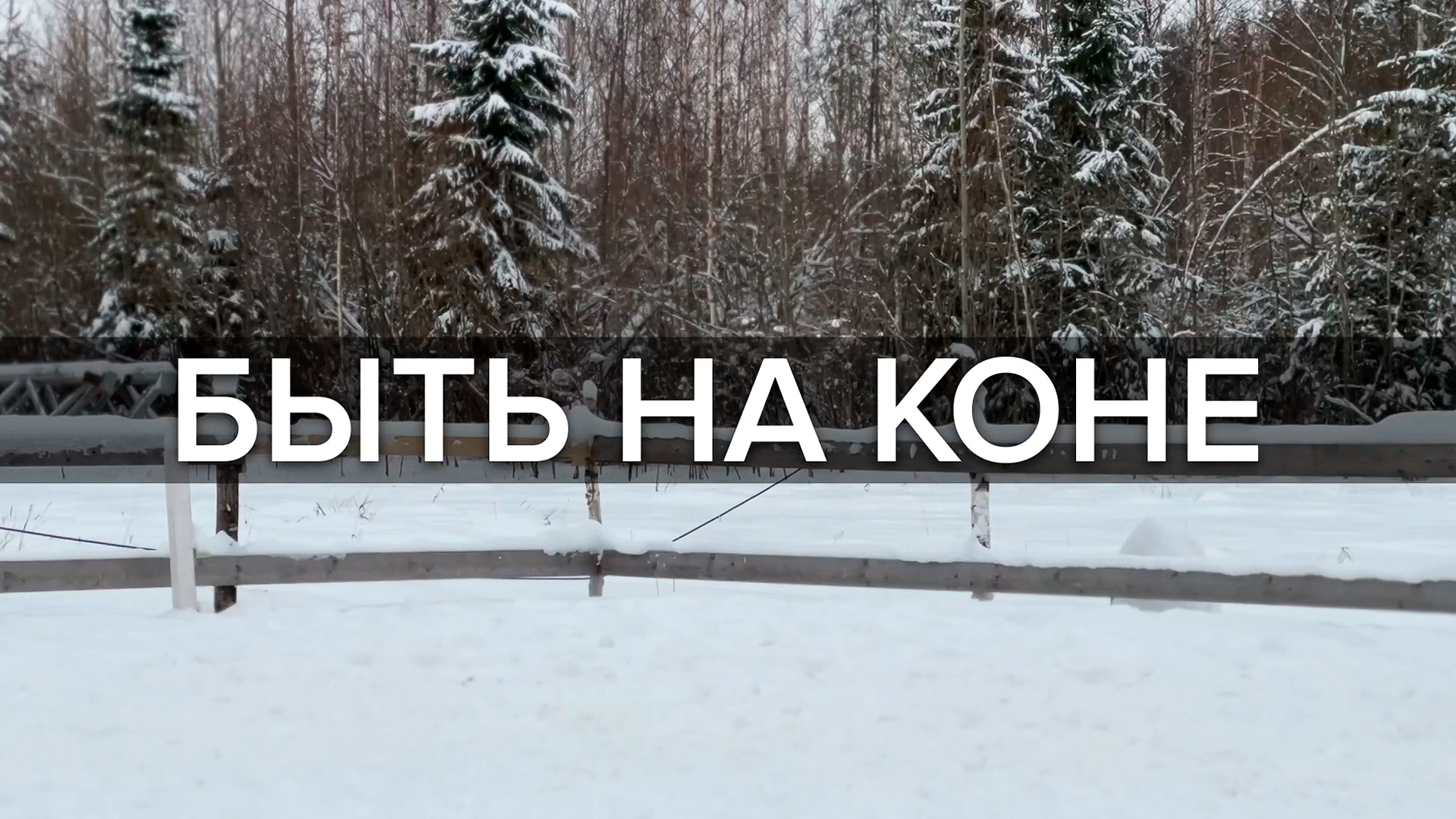 Быть на коне