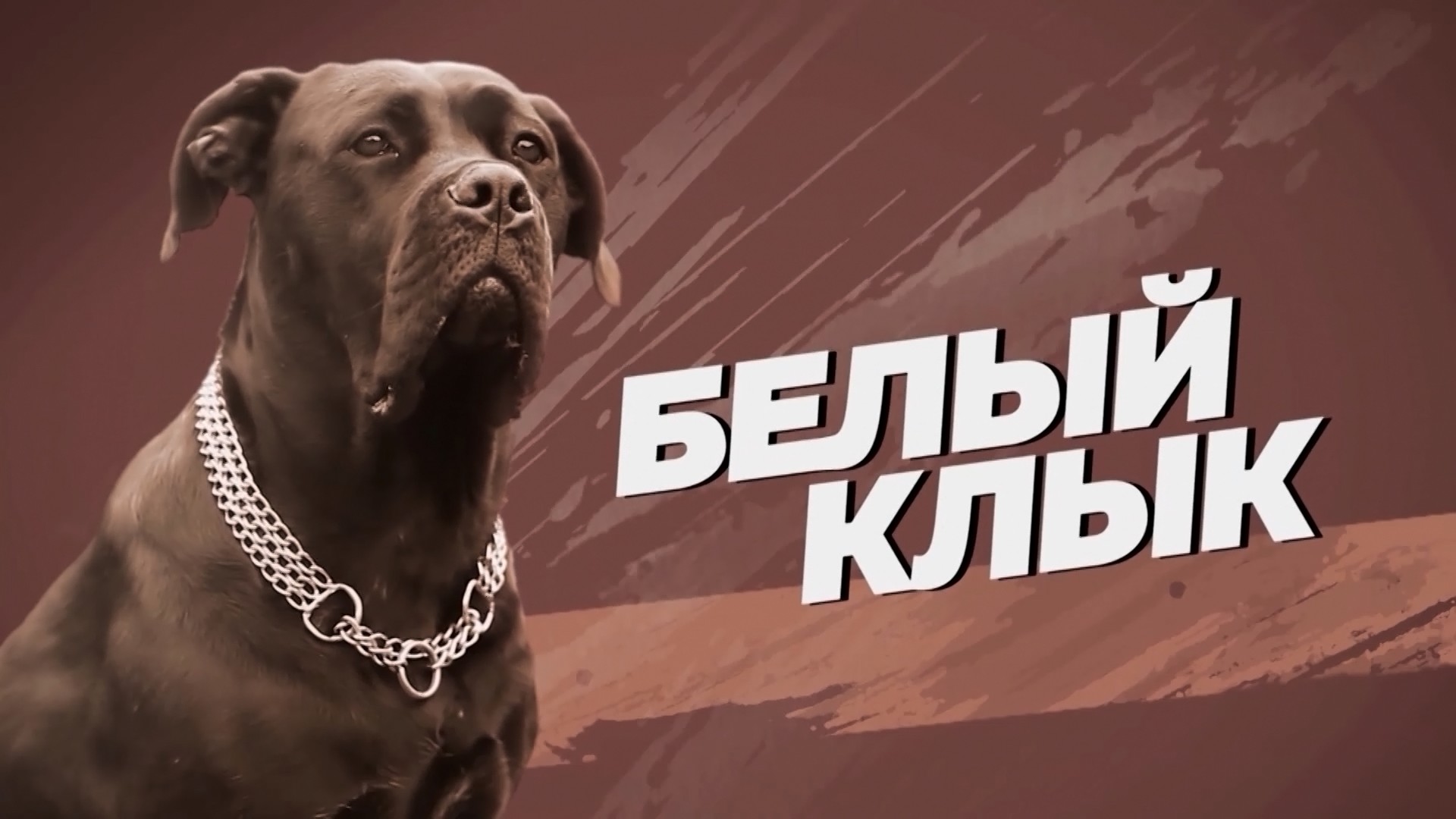 Белый клык. 4-я серия