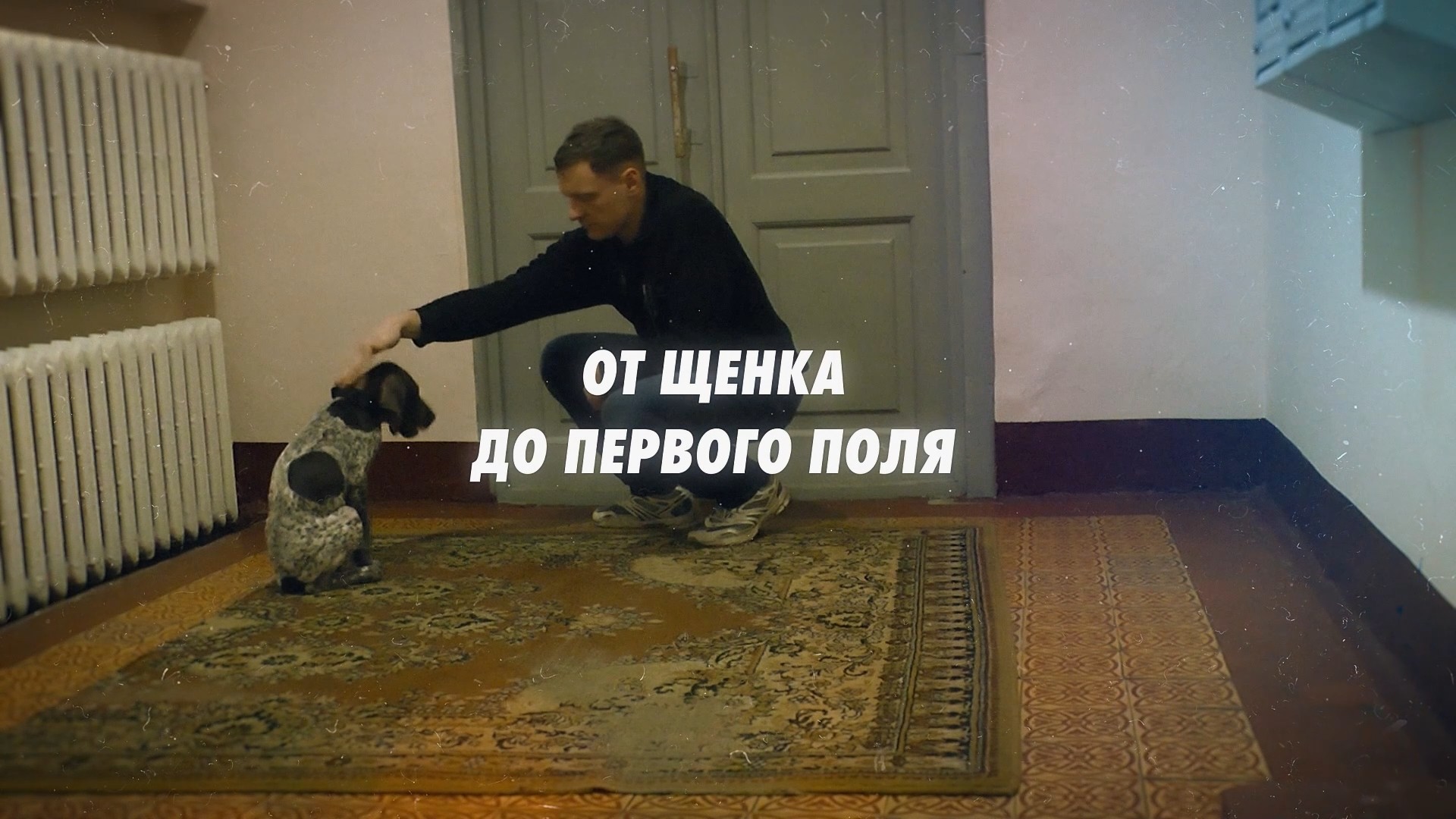 От щенка до первого поля. 5-я серия