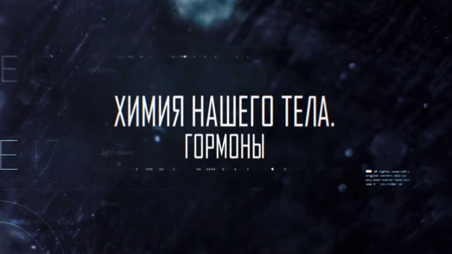 Химия нашего тела. Витамины